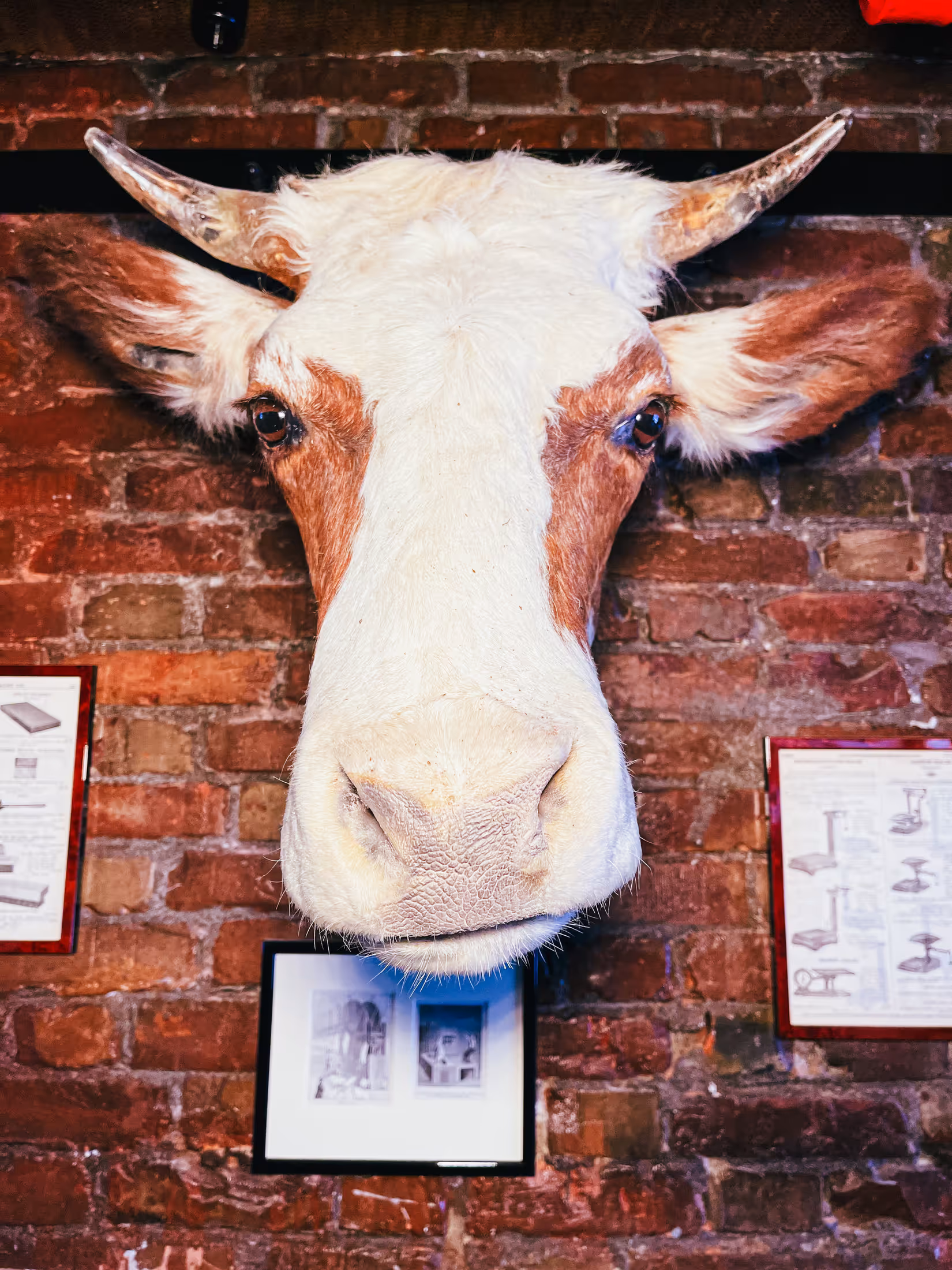 Nitty Gritty restaurant